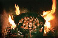 chestnuts