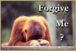 forgive