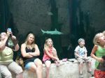 Every one watches in amazement as sharks and rays swim by.