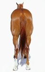 horses_rear