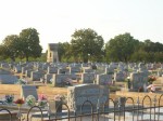Look at all these graves in the St. Mary's Cemetery